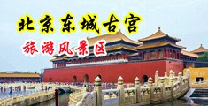 阴道被阴茎猛插视频中国北京-东城古宫旅游风景区